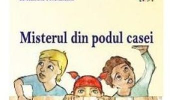 Cartea Misterul din podul casei – Ana Maria Stefan, Sara Alexandra Gharazeddine (download, pret, reducere)