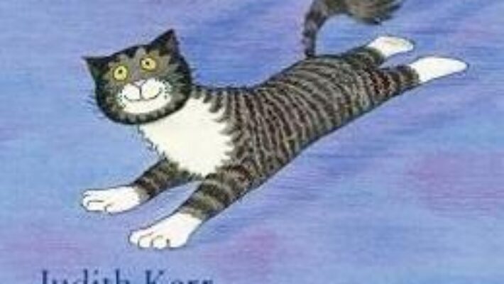 Cartea Mog in intuneric – Judith Kerr (download, pret, reducere)