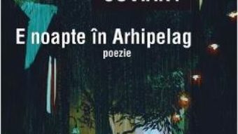 Cartea E noapte in Arhipelag – Octavian Soviany (download, pret, reducere)