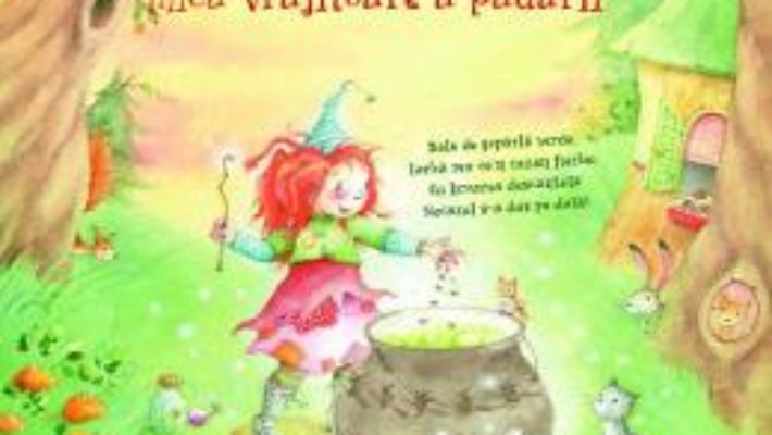 Cartea Frida, mica vrajitoare a padurii – Jutta Langreuter, Stefanie Dahle (download, pret, reducere)