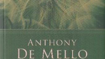 Cartea Constienta. Capcanele si oportunitatile realitatii – Anthony De Mello (download, pret, reducere)