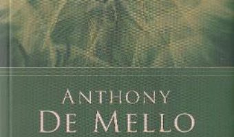 Cartea Constienta. Capcanele si oportunitatile realitatii – Anthony De Mello (download, pret, reducere)