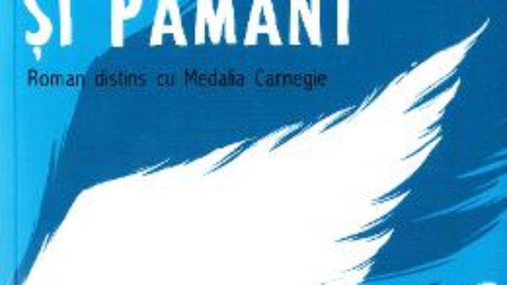 Cartea Intre cer si pamant – David Almond (download, pret, reducere)