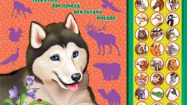 Cartea Carte cu sunete: Animale (romana+engleza) – Inesa Tautu (download, pret, reducere)