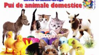 Cartea Pui de animale domestice – Silvia Ursache-Brega (download, pret, reducere)