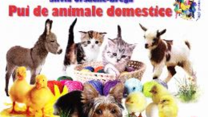 Cartea Pui de animale domestice – Silvia Ursache-Brega (download, pret, reducere)