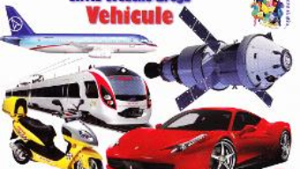 Cartea Vehicule – Silvia Ursache-Brega (download, pret, reducere)