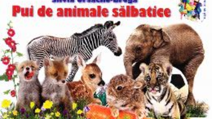 Cartea Pui de animale salbatice – Silvia Ursache-Brega (download, pret, reducere)