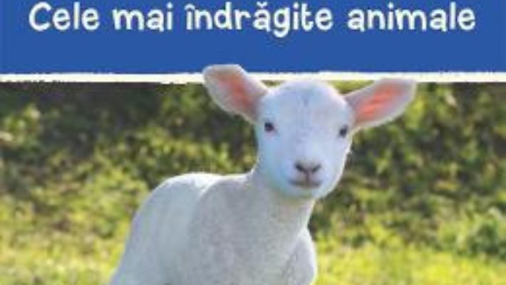 Cartea Cele mai indragite animale (download, pret, reducere)