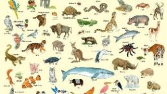 Cartea Plansa: 100 de animale (download, pret, reducere)