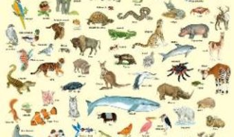 Cartea Plansa: 100 de animale (download, pret, reducere)