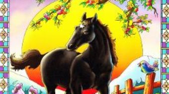 Cartea Black Beauty (download, pret, reducere)