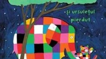 Cartea Elmer si ursuletul pierdut – David McKee (download, pret, reducere)