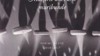 Cartea Maestrii unei arte muribunde – Claudiu Komartin (download, pret, reducere)