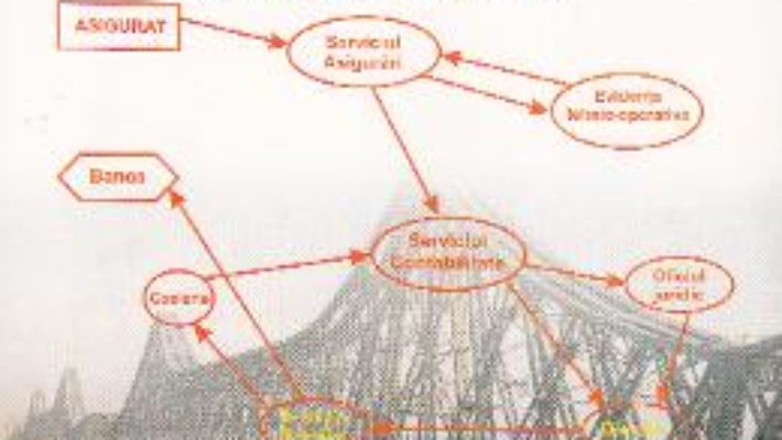 Cartea Sistemul informational in societatile de asigurare – Bogdan Decebal Manole (download, pret, reducere)