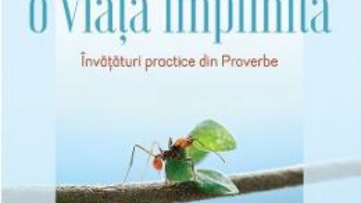 Cartea Intelepciune pentru o viata implinita – Bill Hybels (download, pret, reducere)