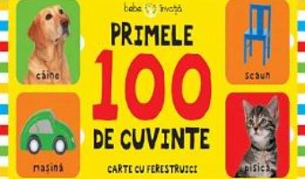 Cartea Primele 100 de cuvinte (Carte cu ferestruici – Bebe invata) (download, pret, reducere)