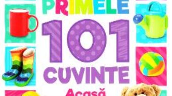 Cartea Primele 101 cuvinte: Acasa (Bebe invata) (download, pret, reducere)