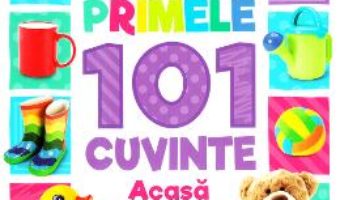 Cartea Primele 101 cuvinte: Acasa (Bebe invata) (download, pret, reducere)