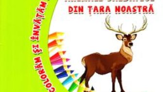 Cartea Animale salbatice din tara noastra – Coloram si invatam! (download, pret, reducere)