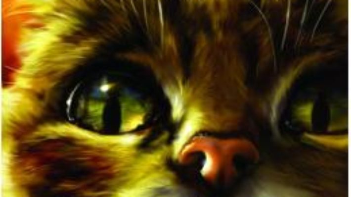 Cartea Pisicile Razboinice vol.11: Amurg – Erin Hunter (download, pret, reducere)