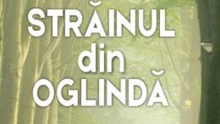 Cartea Strainul din oglinda – Doina Chereches (download, pret, reducere)