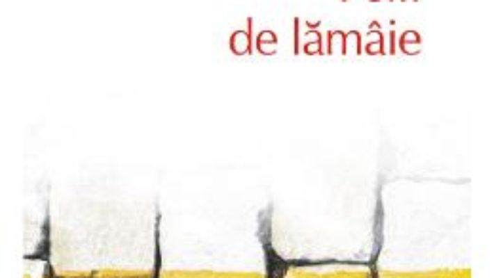 Cartea Felii de lamaie – Anca Vieru (download, pret, reducere)