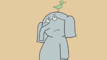 Cartea Ai o pasare pe cap! – Mo Willems (download, pret, reducere)