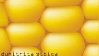 Cartea La marginea lumii – Dumitrita Stoica (download, pret, reducere)