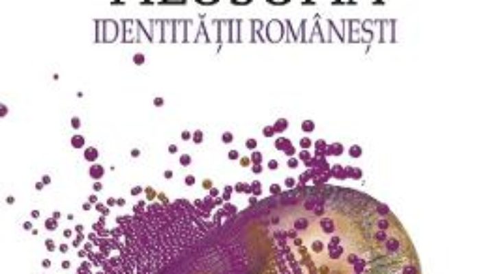 Cartea Filosofia identitatii romanesti – Ionel Necula (download, pret, reducere)