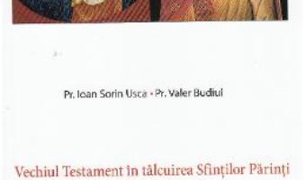 Cartea Vechiul Testament in talcuirea Sfintilor Parinti XVII: Iezechiel, Daniel – Ioan Sorin Usca, Valer Budiul (download, pret, reducere)