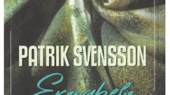 Cartea Evanghelia tiparilor – Patrik Svensson (download, pret, reducere)