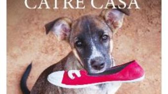 Cartea Drumul unui caine catre casa – W. Bruce Cameron (download, pret, reducere)