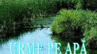 Cartea Urme pe apa – Mirela Penu (download, pret, reducere)