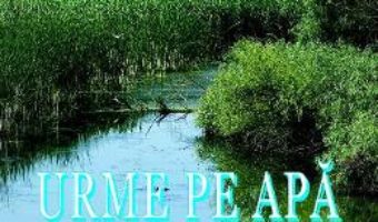 Cartea Urme pe apa – Mirela Penu (download, pret, reducere)