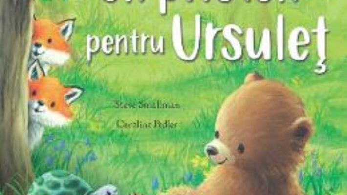 Cartea Un prieten pentru ursulet – Steve Smallman (download, pret, reducere)