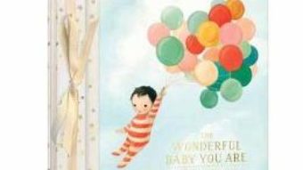 Cartea The Wonderful Baby You Are: A Record of Baby’s First Year – Emily Winfield Martin (download, pret, reducere)