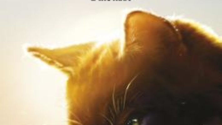 Cartea Pisicile Razboinice. Vol.18: Rasarit – Erin Hunter (download, pret, reducere)