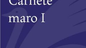 Cartea Carnete maro 1 – Aurel Dumitrascu (download, pret, reducere)