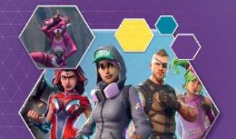 Cartea Fortnite. Ghidul jocului (download, pret, reducere)