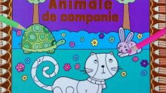 Cartea Coloreaza dupa numere. Animale de companie (download, pret, reducere)