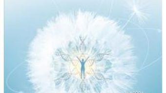 Cartea Heal: Discover your unlimited potential and awaken the powerful healer within – Kelly Noonan Gores (download, pret, reducere)