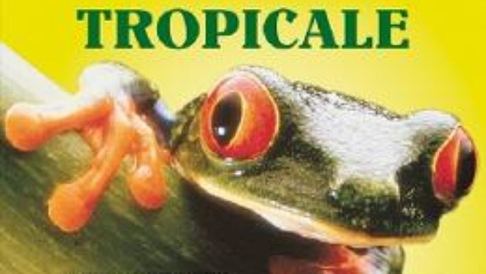 Cartea Portalul magic. Infojurnal. Padurile tropicale – Will Osborne, Mary Pope Osborne (download, pret, reducere)