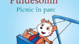 Cartea Bobo Puidesomn. Picnic in parc – Markus Osterwalder (download, pret, reducere)