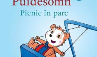 Cartea Bobo Puidesomn. Picnic in parc – Markus Osterwalder (download, pret, reducere)