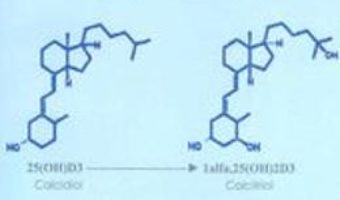 Cartea Sistemul Endocrin Al Vitaminei D Vol.1 – Doru Dejica, Valeria Dejica (download, pret, reducere)