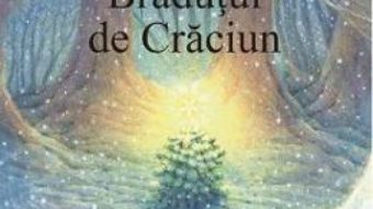 Cartea Bradutul de Craciun – Loek Koopmans (download, pret, reducere)