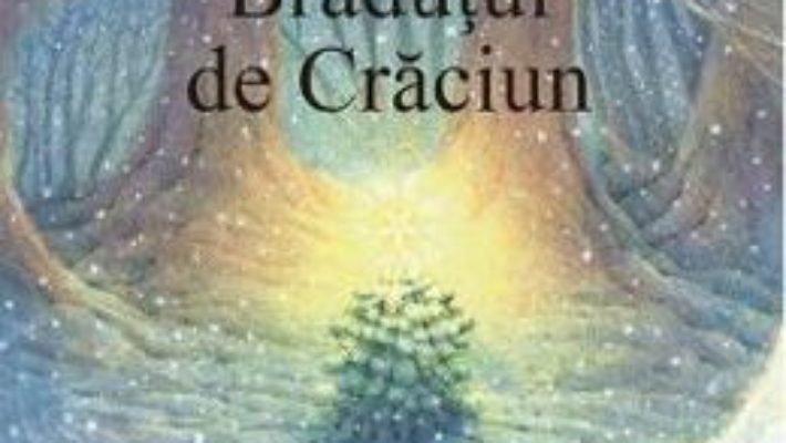 Cartea Bradutul de Craciun – Loek Koopmans (download, pret, reducere)