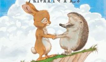 Ce-ti aduci aminte? – Paul Stewart, Chris Riddell PDF (download, pret, reducere)