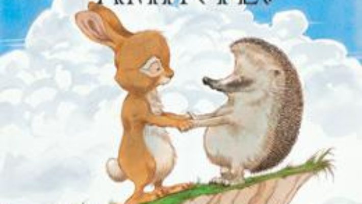 Ce-ti aduci aminte? – Paul Stewart, Chris Riddell PDF (download, pret, reducere)